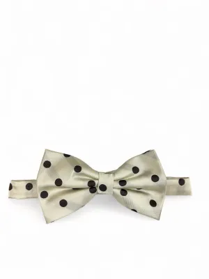 Cream and Brown Polka Dot Bow Tie and Pocket Square